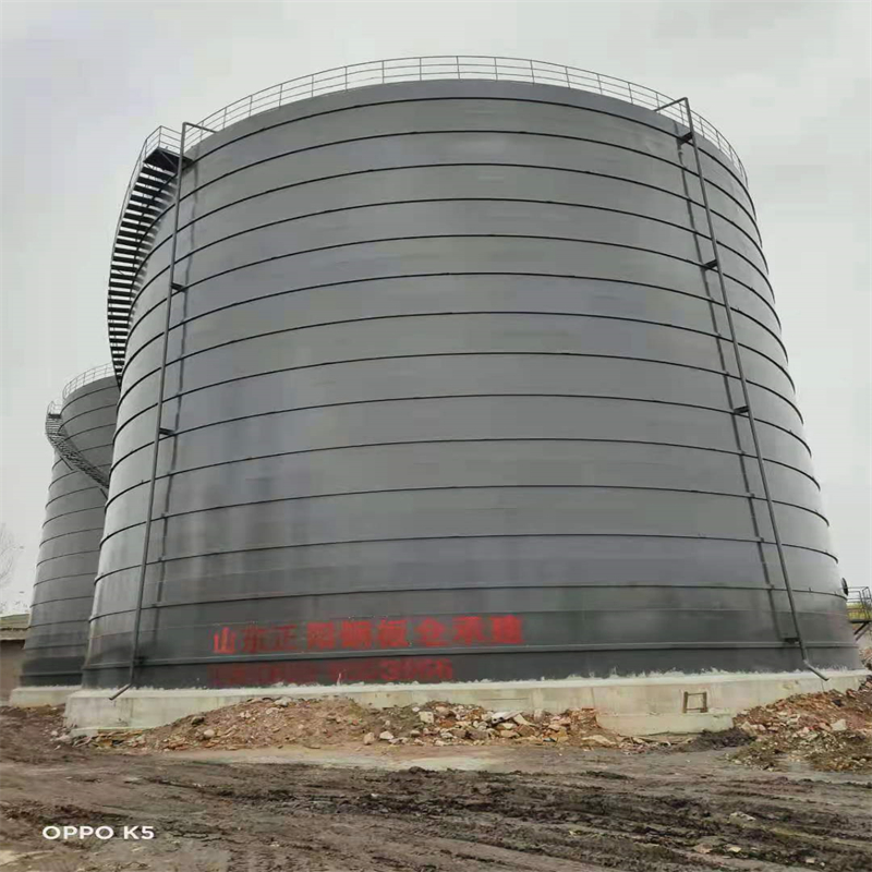 青松乡3万吨大型钢板库