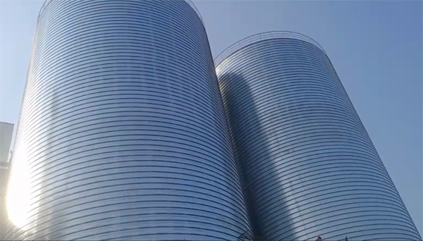 青松乡2座混凝土高架卷板仓